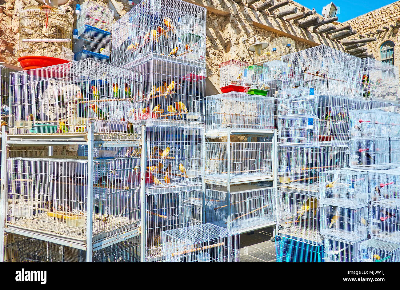 The Birds Market is the noisiest place of Souq Waqif parrots