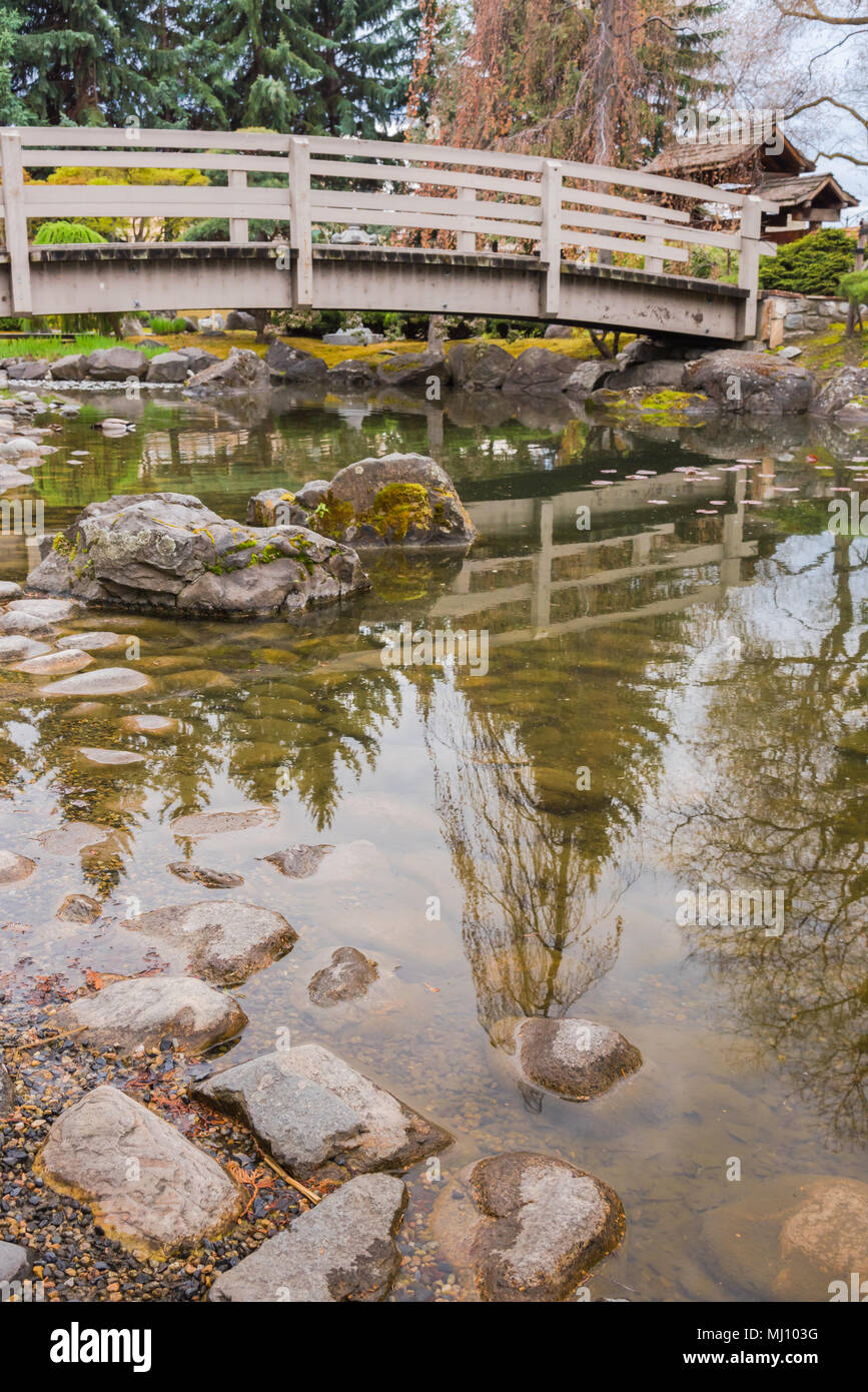 The koi pond and bridge at Kasugui Gardens, a Japanese garden in the downtown Kelowna, BC, Canada Stock Photo