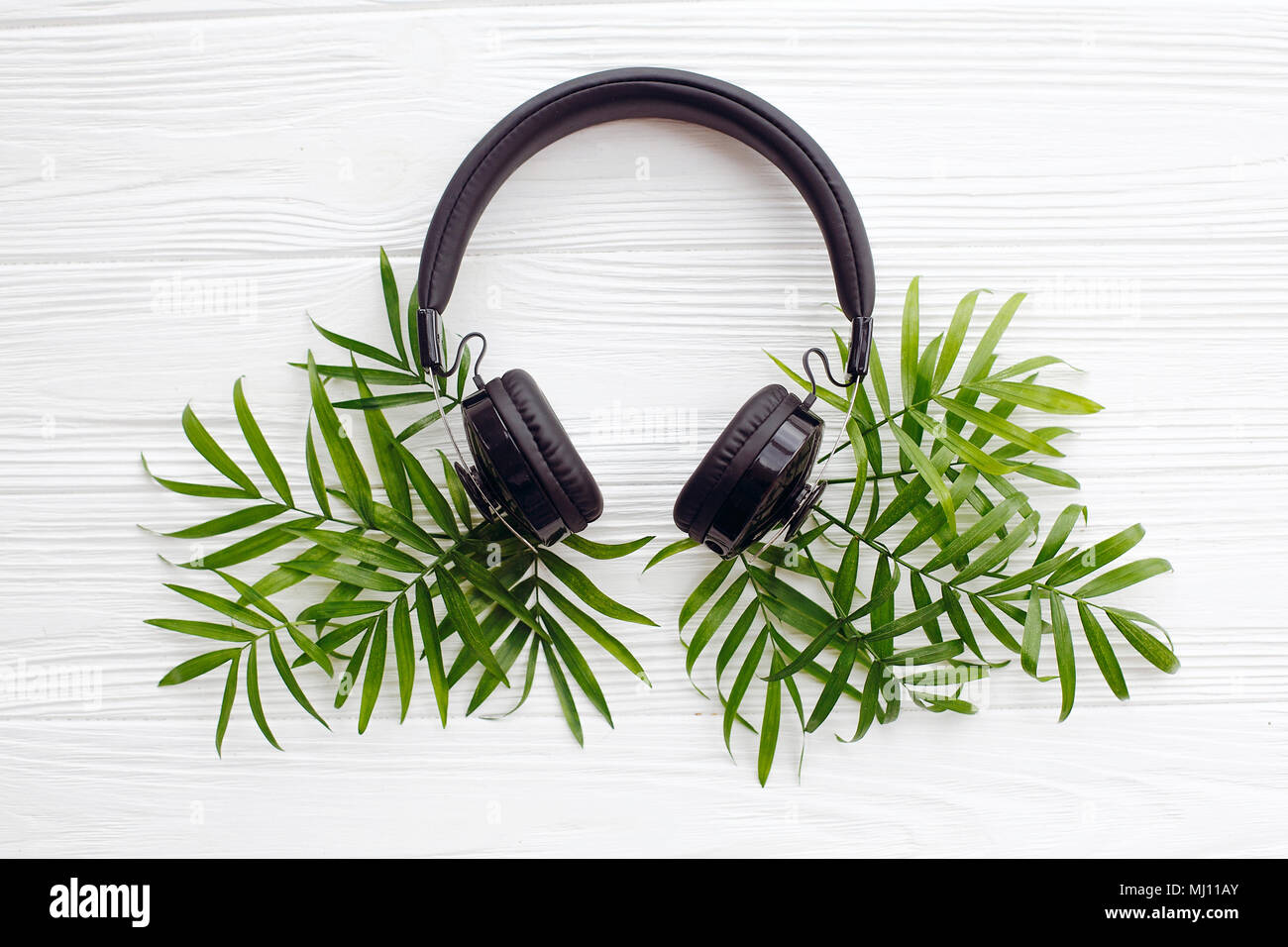 stylish black headphones with green palm leaves on white wooden background flat lay. new fresh music concept. modern hipster travel and wanderlust im Stock Photo Alamy
