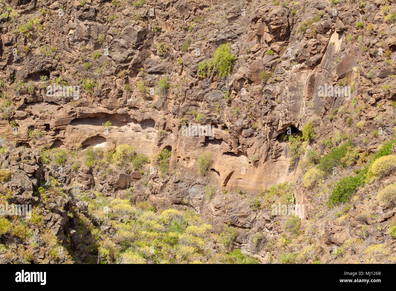 Gran Canaria, Barranco de Las Vacas ravine between Aguimes and Temisas villages, small caves and grottoes in the wall of the ravine Stock Photo