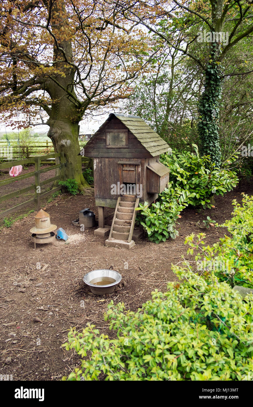 Wooden chicken coop, hen house, farm, house, bird, animal, poultry, nature, food, agriculture, farming, rural, egg, rooster, in domestic garden UK Stock Photo