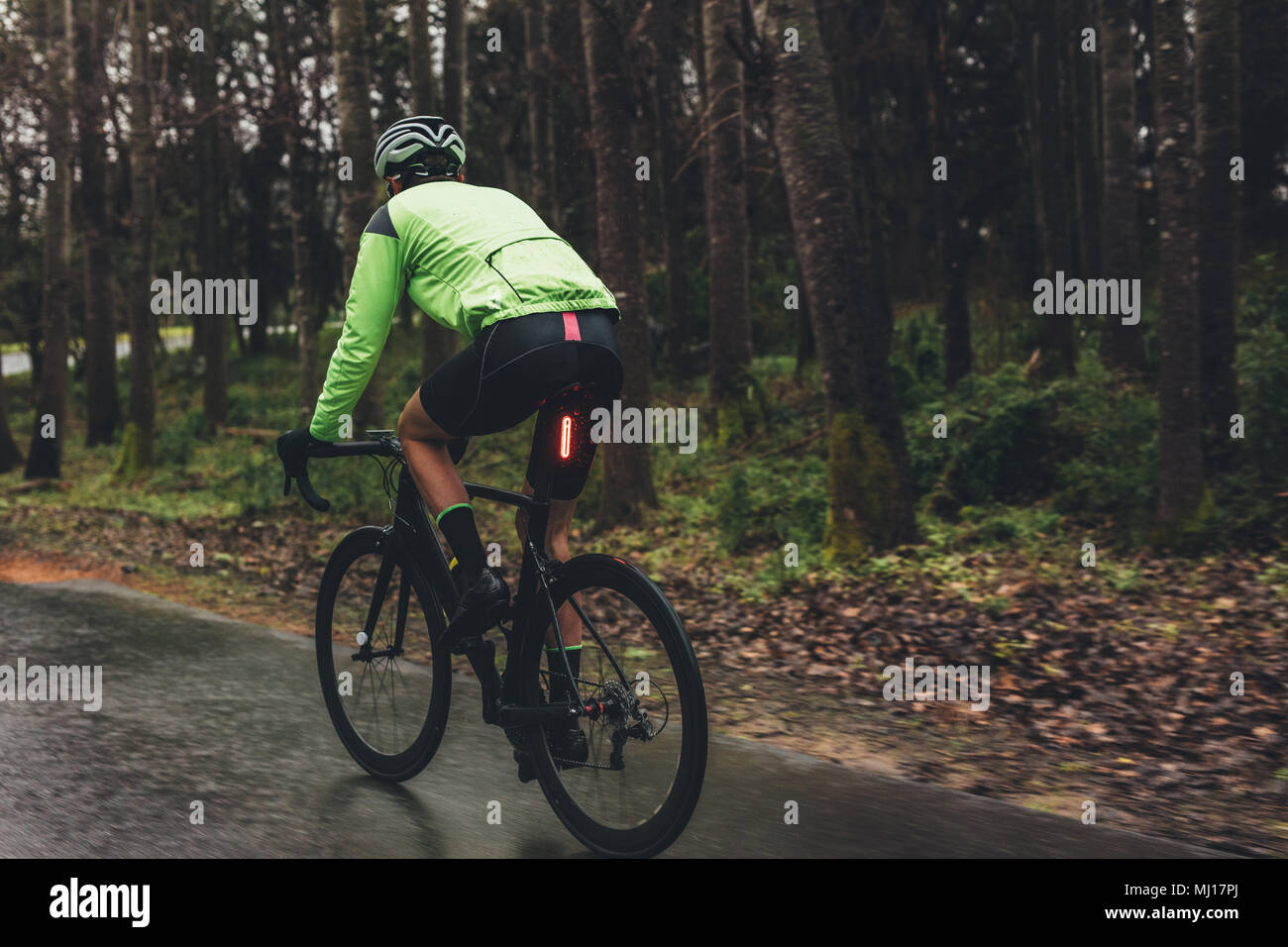 Male cyclist on a country road training for competition. Man riding bicycle on wet road through forest. Stock Photo