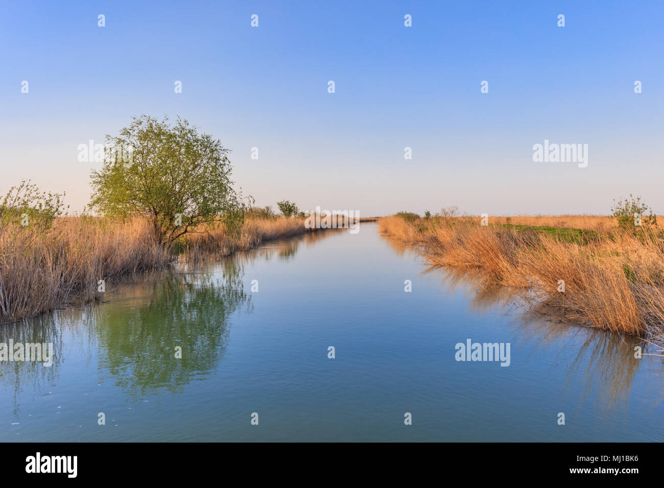 landscape in the Danube Delta, Romania, Europe Stock Photo - Alamy