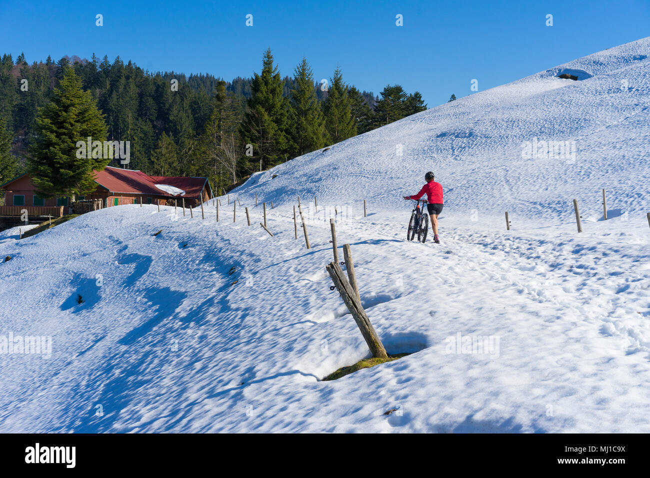 senior woman mountainbiking in springtime in the Allgaeu area, German alpes Stock Photo