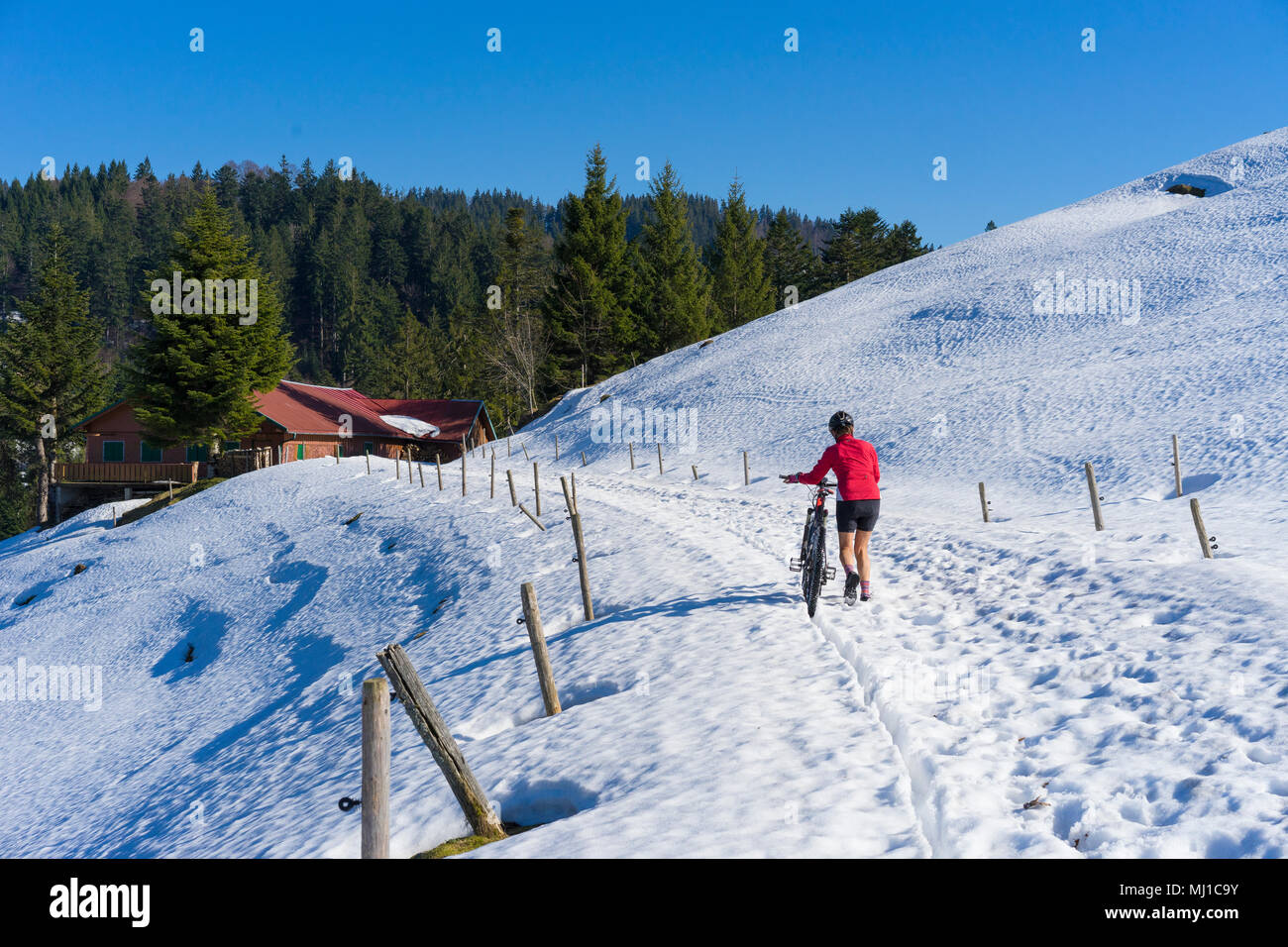 senior woman mountainbiking in springtime in the Allgaeu area, German alpes Stock Photo