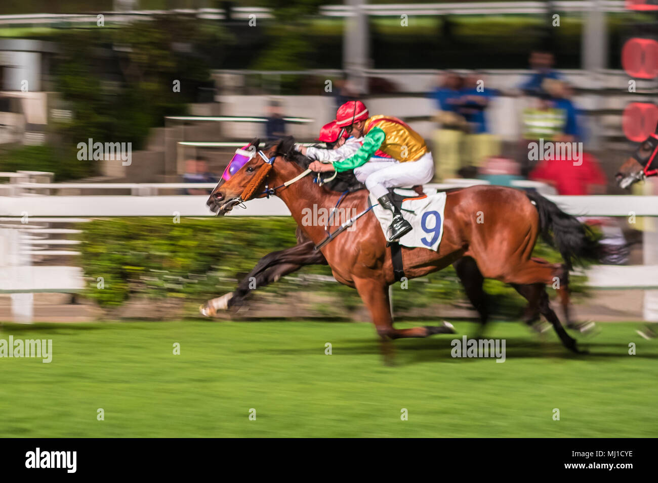 Racehorses ridden by jockeys running fast during the race at racetrack. Striving to victory. Hong Kong Happy Valley race course. Motion blur. Stock Photo