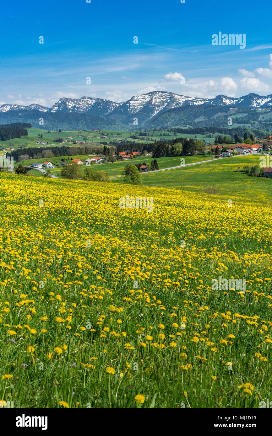 Mountainbiking in springtime in the Bregenzer Wald Mountains,Austria Stock Photo