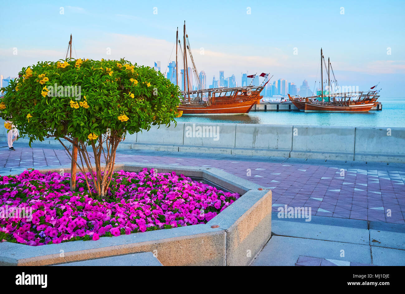 The bright flower beds and blooming trees on Corniche promenade of Doha, the old dhow boats are seen on background, Qatar. Stock Photo