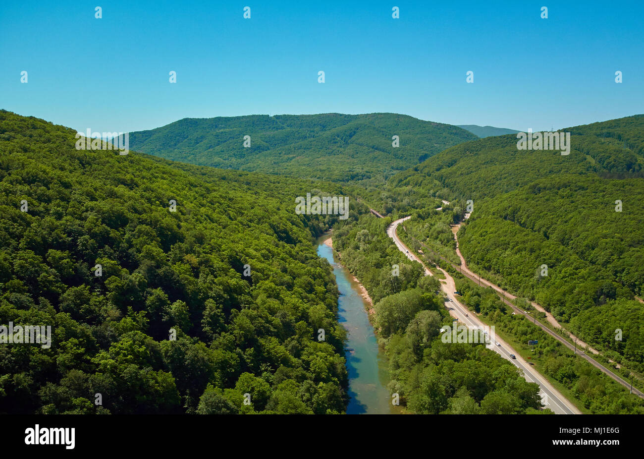 Beautiful spring forest hi-res stock photography and images - Alamy