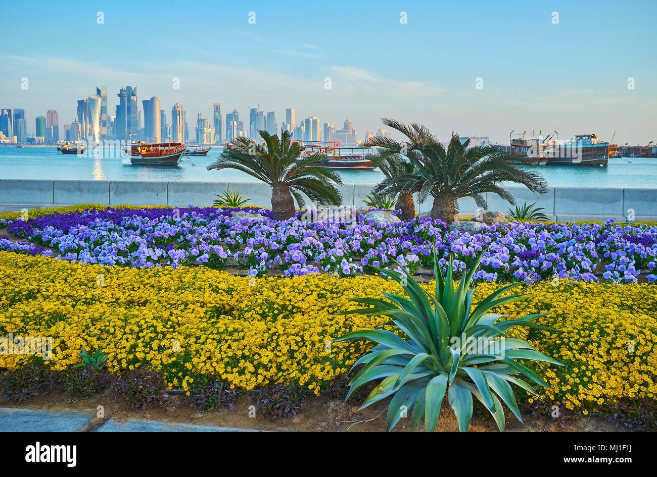 The Corniche embankment is decorated with beautiful flower beds and palm alley, stretching along the coast of Persian Gulf, Doha, Qatar. Stock Photo