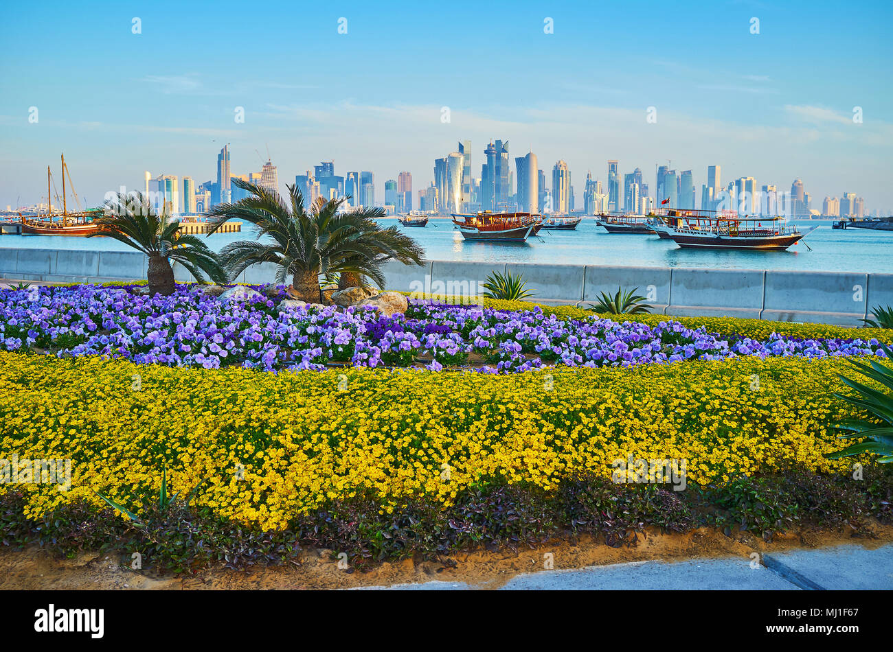 Corniche promenade is perfectly decorated with beautiful flower beds, tiny palms and trimmed bushes, Doha, Qatar. Stock Photo