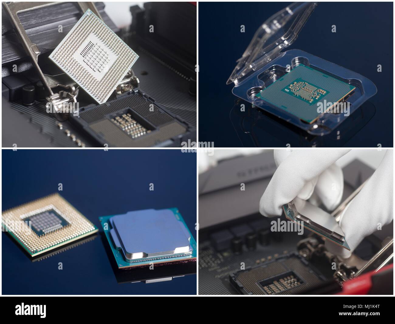 Installing CPU on motherboard. Computer Upgrade. Collage Stock Photo
