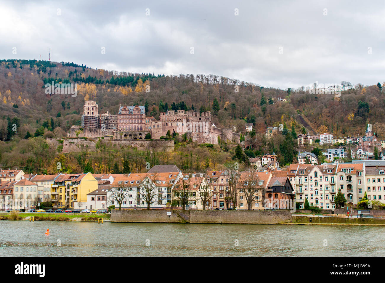 View of Heidelberg with the castle, Baden-WÃ¼rttemberg - Germany Stock Photo
