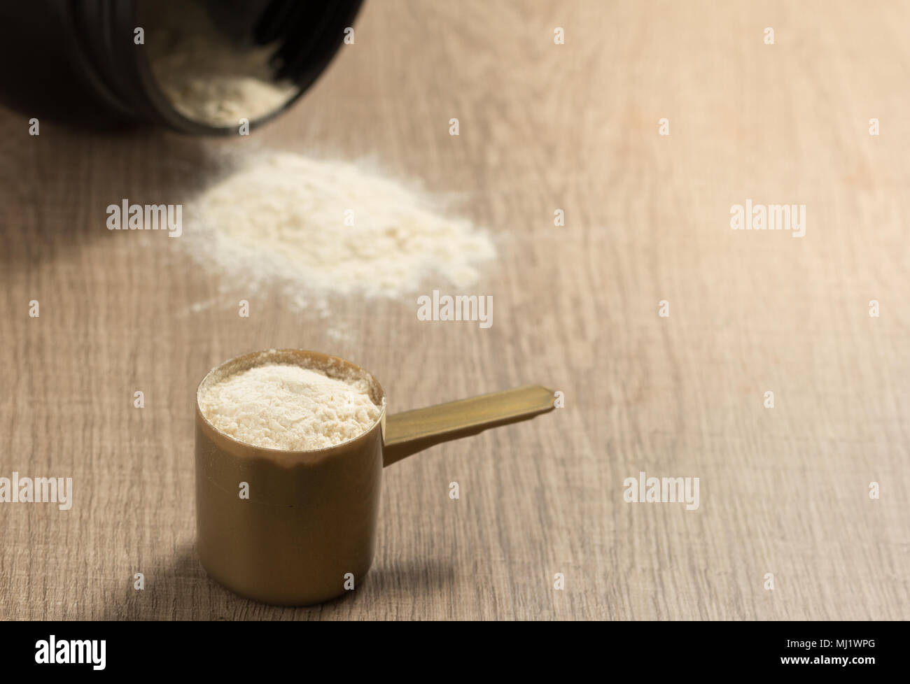 Whey Protein Powder in measuring scoop. Stock Photo