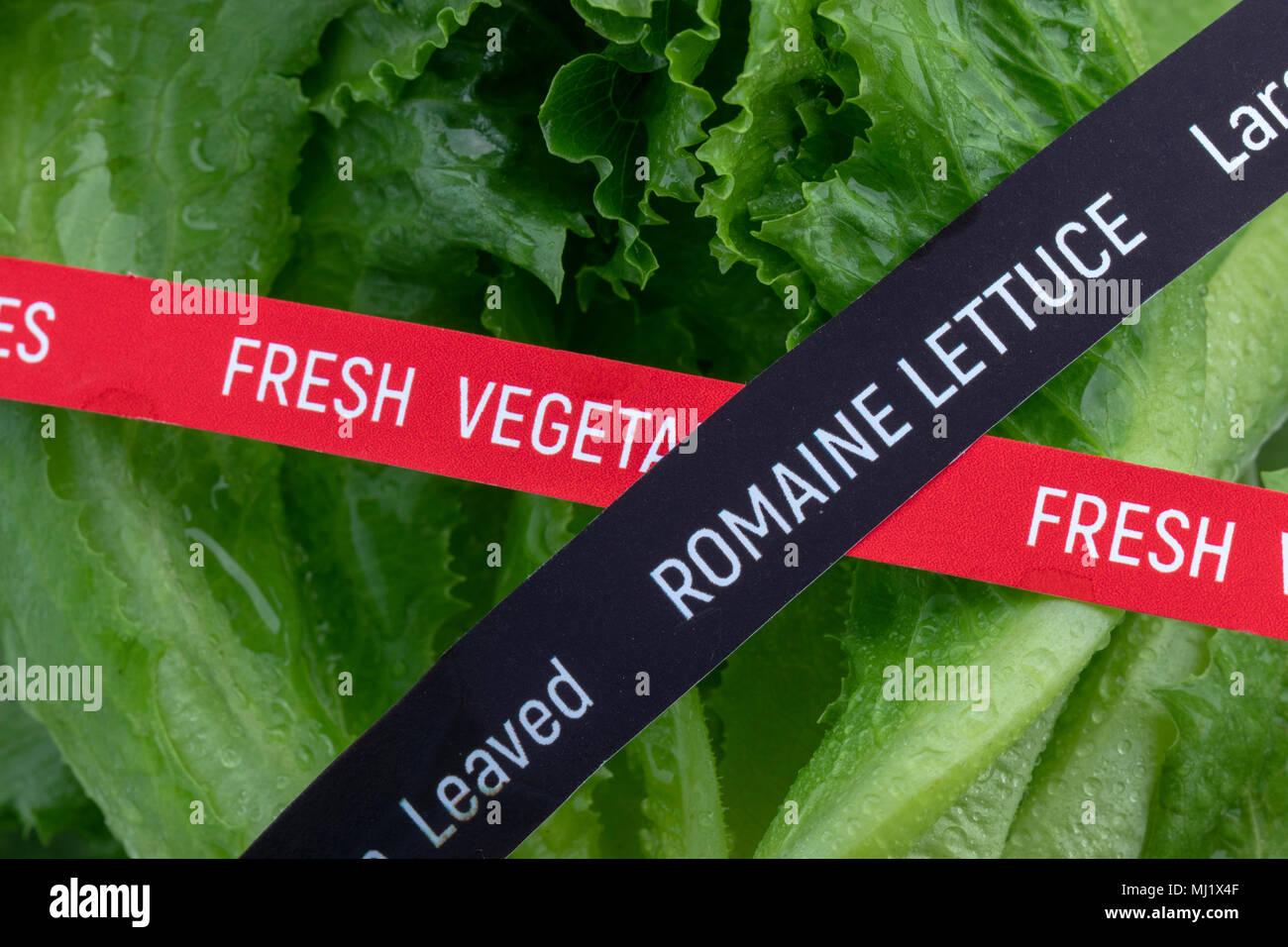 Food poisoning hires stock photography and images Alamy