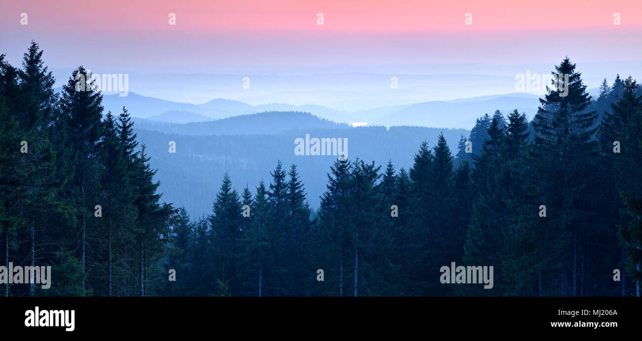 View over low mountain range landscape, hilly landscape with forests, sunset, valley fog, Harz National Park, Lower Saxony Stock Photo