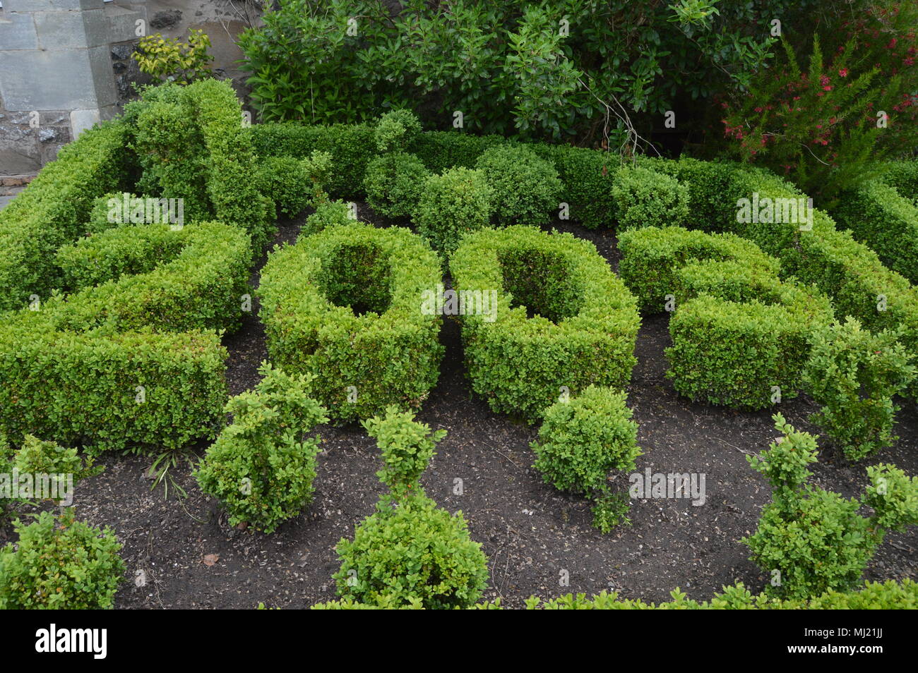 Topiary at Earlshall Castle Gardens, Leuchars, Fife, Scotland Stock Photo