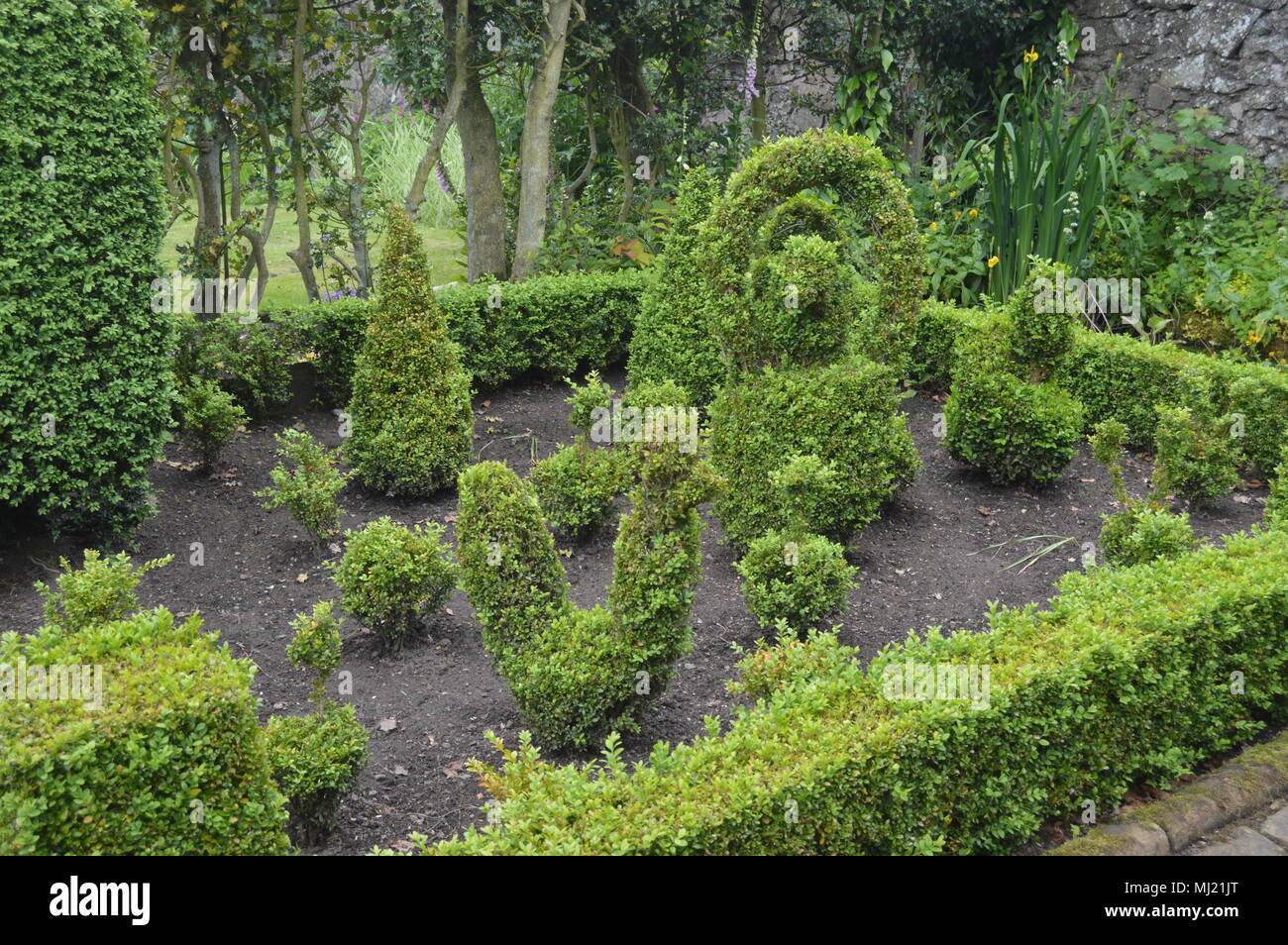 Topiary at Earlshall Castle Gardens, Leuchars, Fife, Scotland Stock Photo