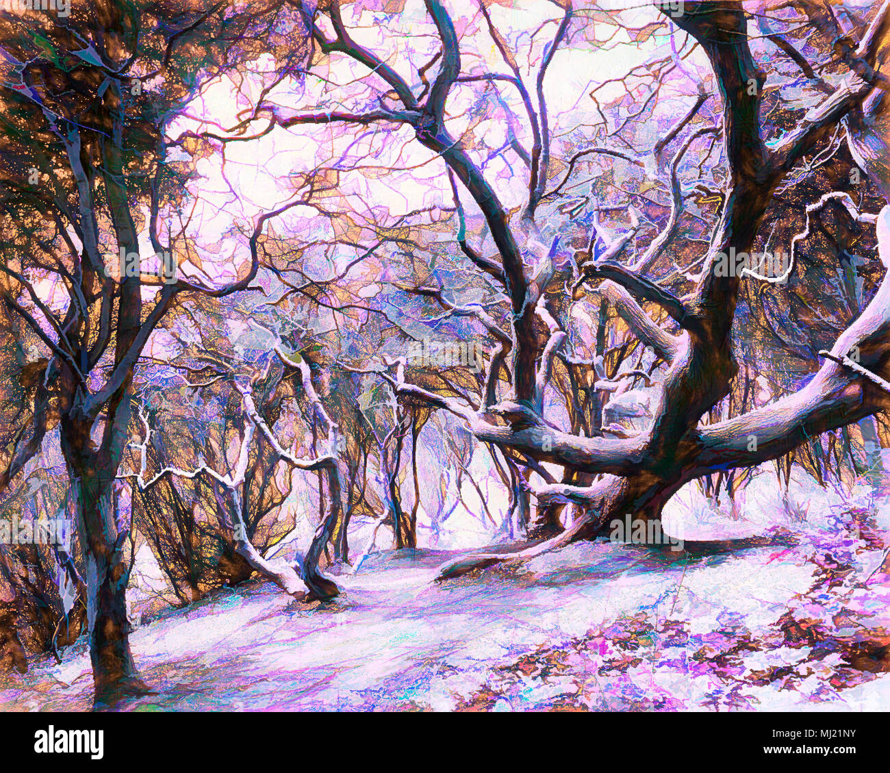 DIGITAL ART: Winter in the Forest Stock Photo