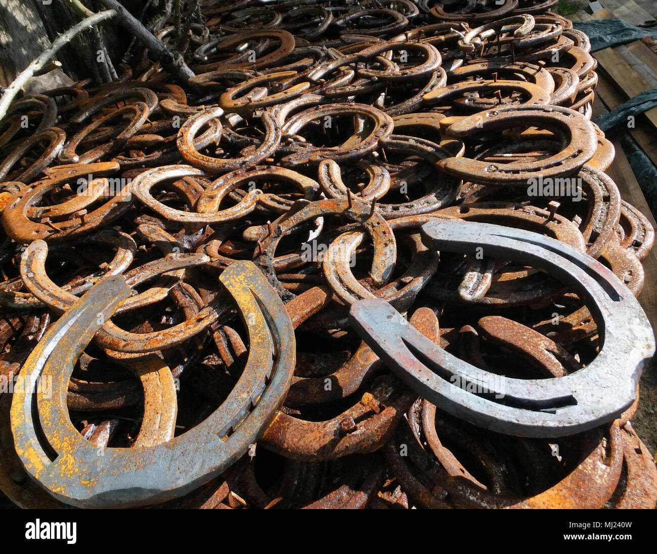A Pile of Horseshoes Stock Photo Alamy