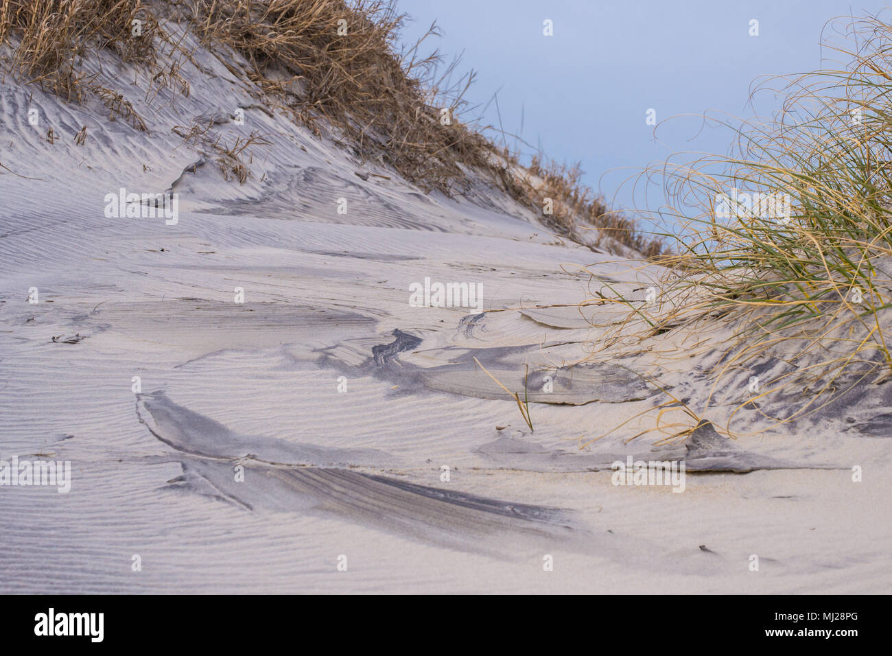 Pea Island Bird Sanctuary, Bodie Lighthouse, Protected Sea Shore on North Carolina's Eastern Coast. This travel destination will inspire you. Stock Photo