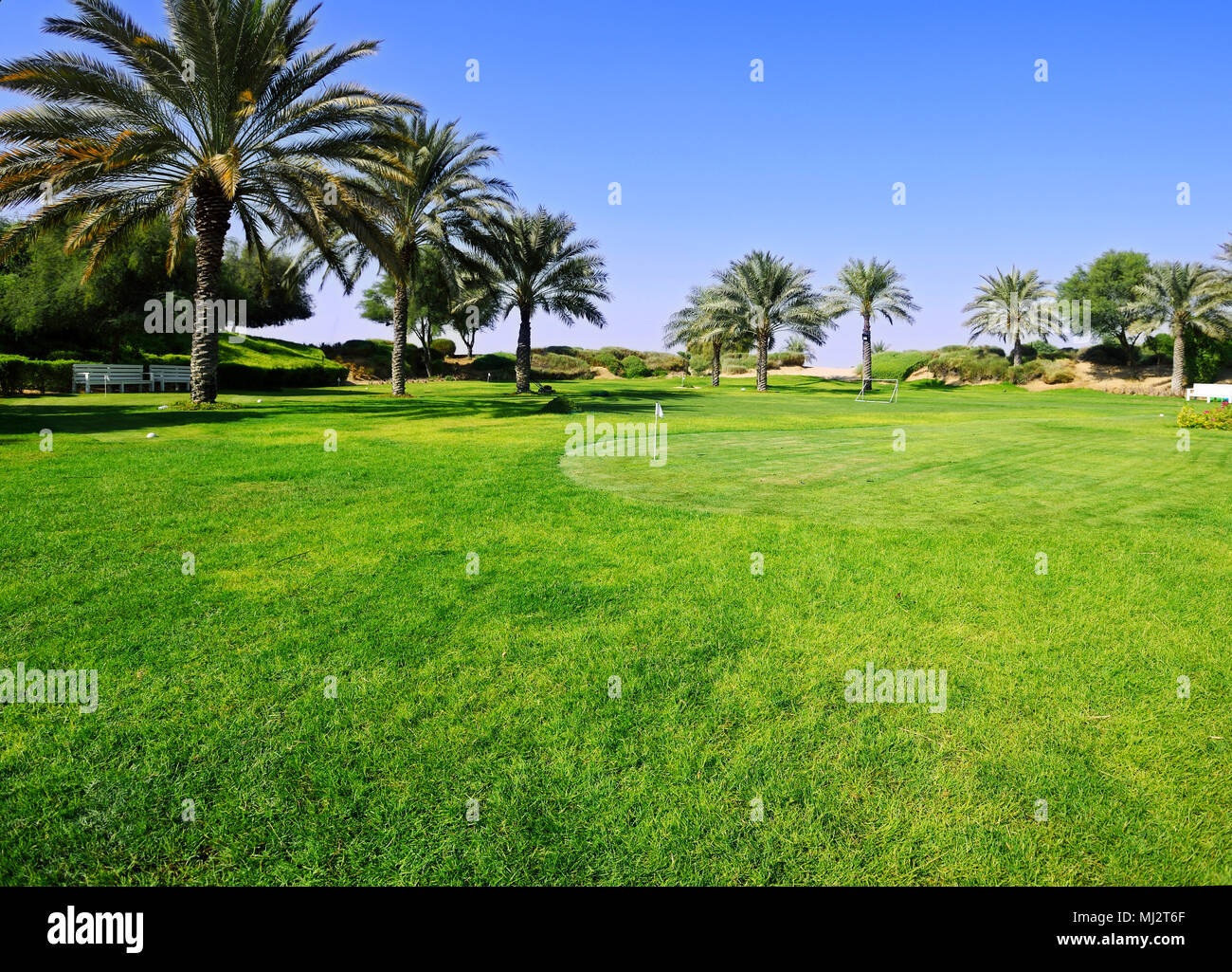 Dubai desert hotel Stock Photo Alamy