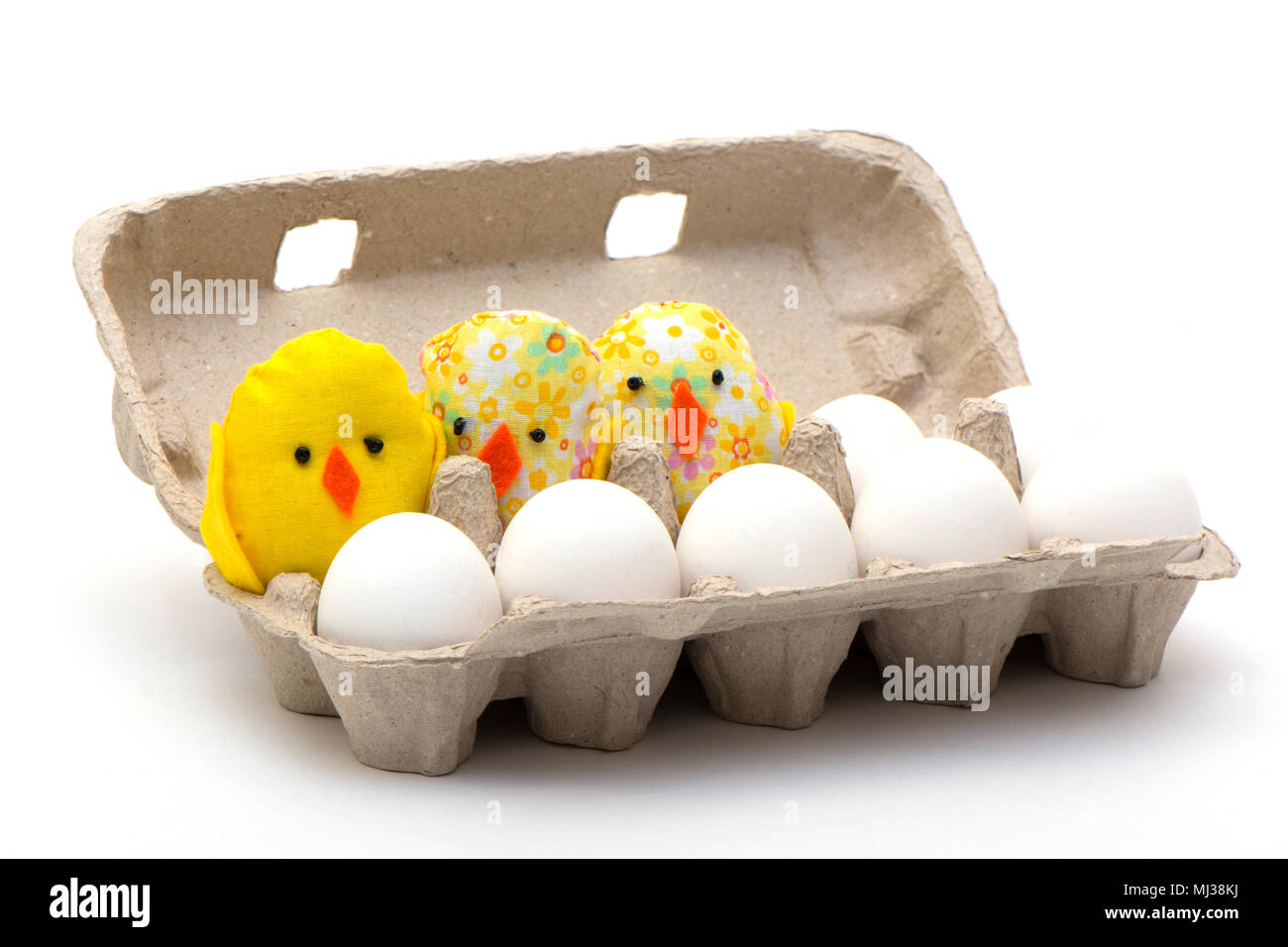 eggs and chickens of handwork in an eco-friendly cell Stock Photo