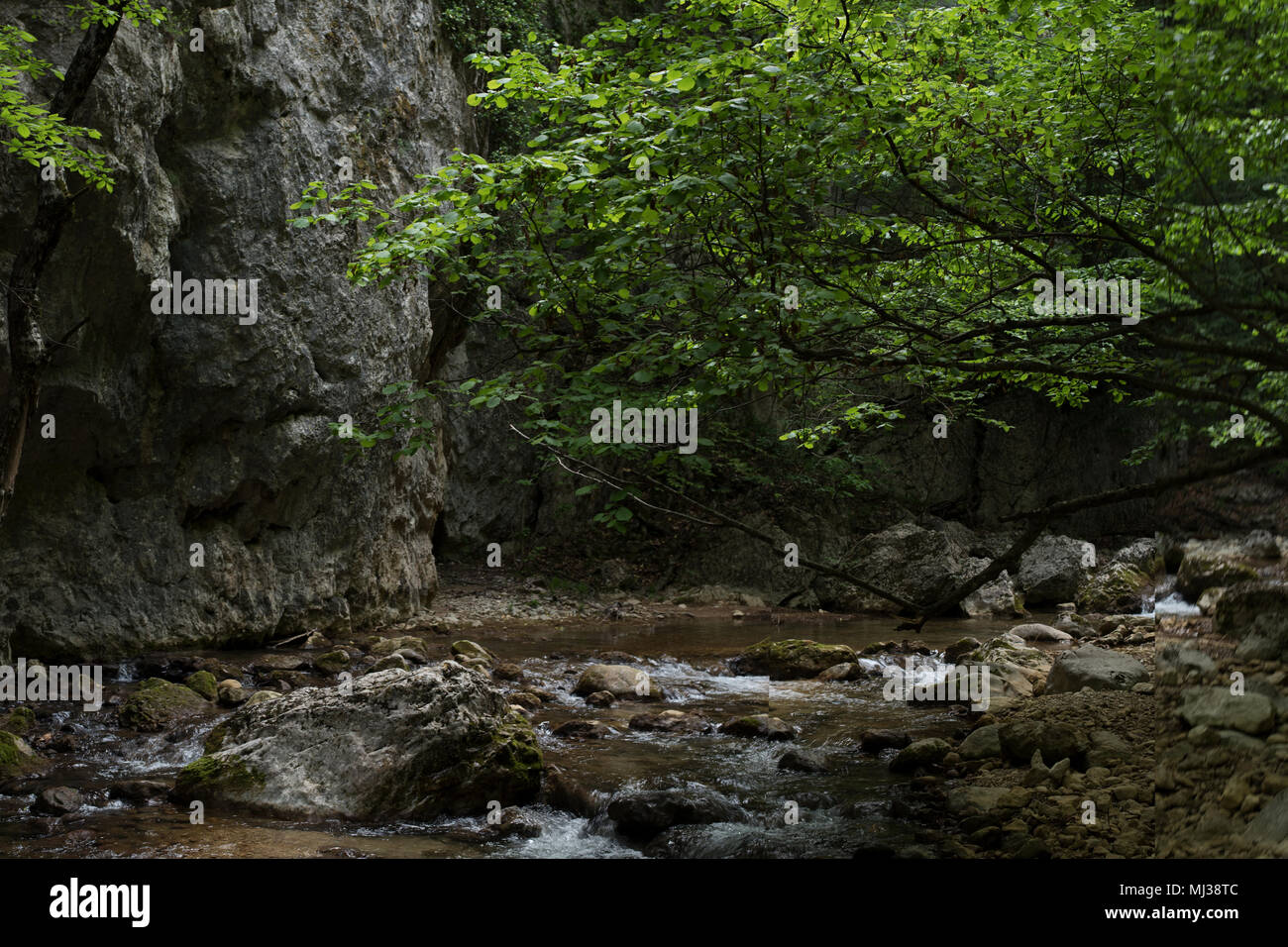 the wild river flows through stones between rocks and the wood in the wild Area of Crimea Stock Photo