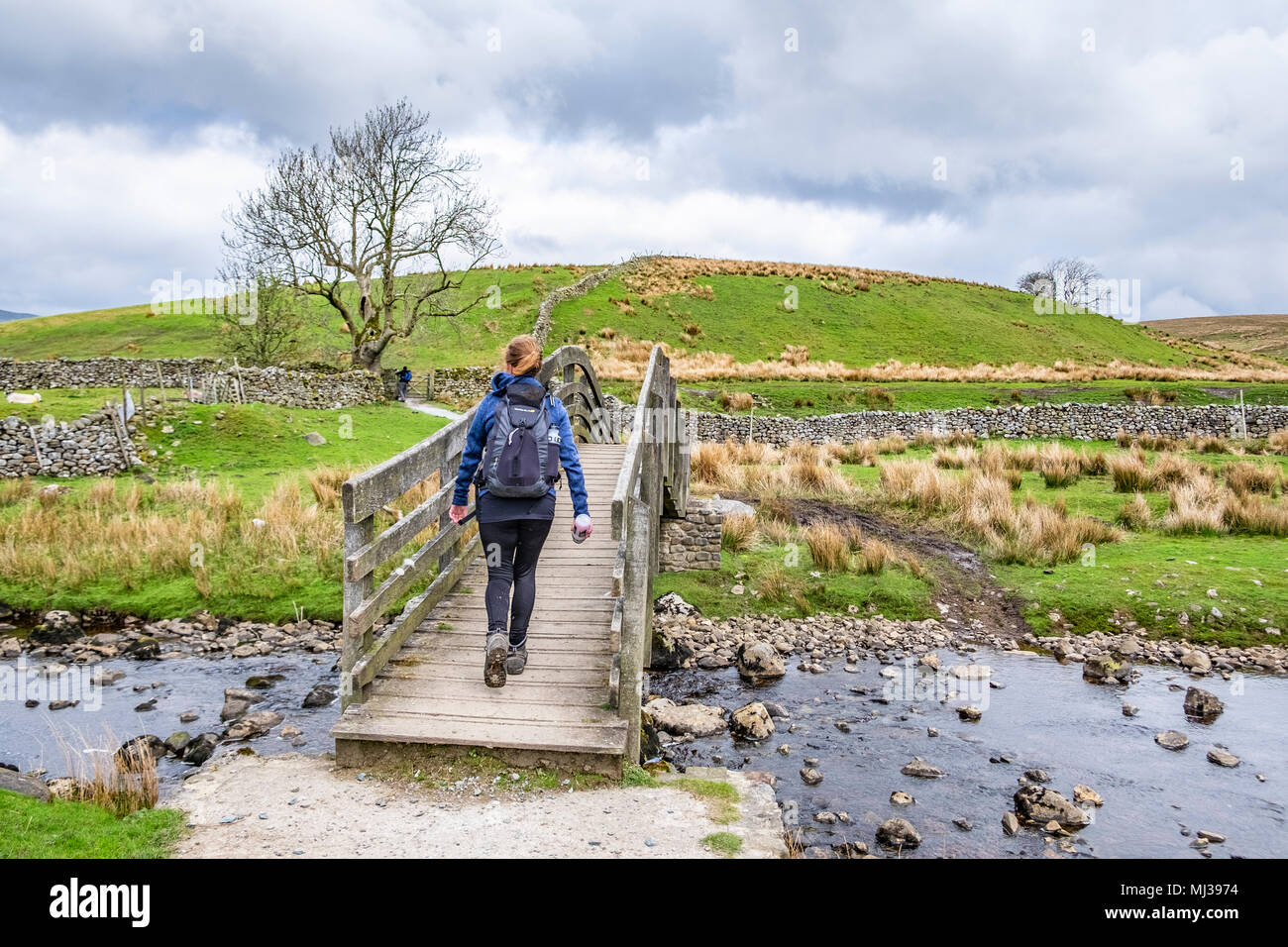 Walker doing The Three Peaks Challenge , North Yorkshire, England Stock Photo Alamy