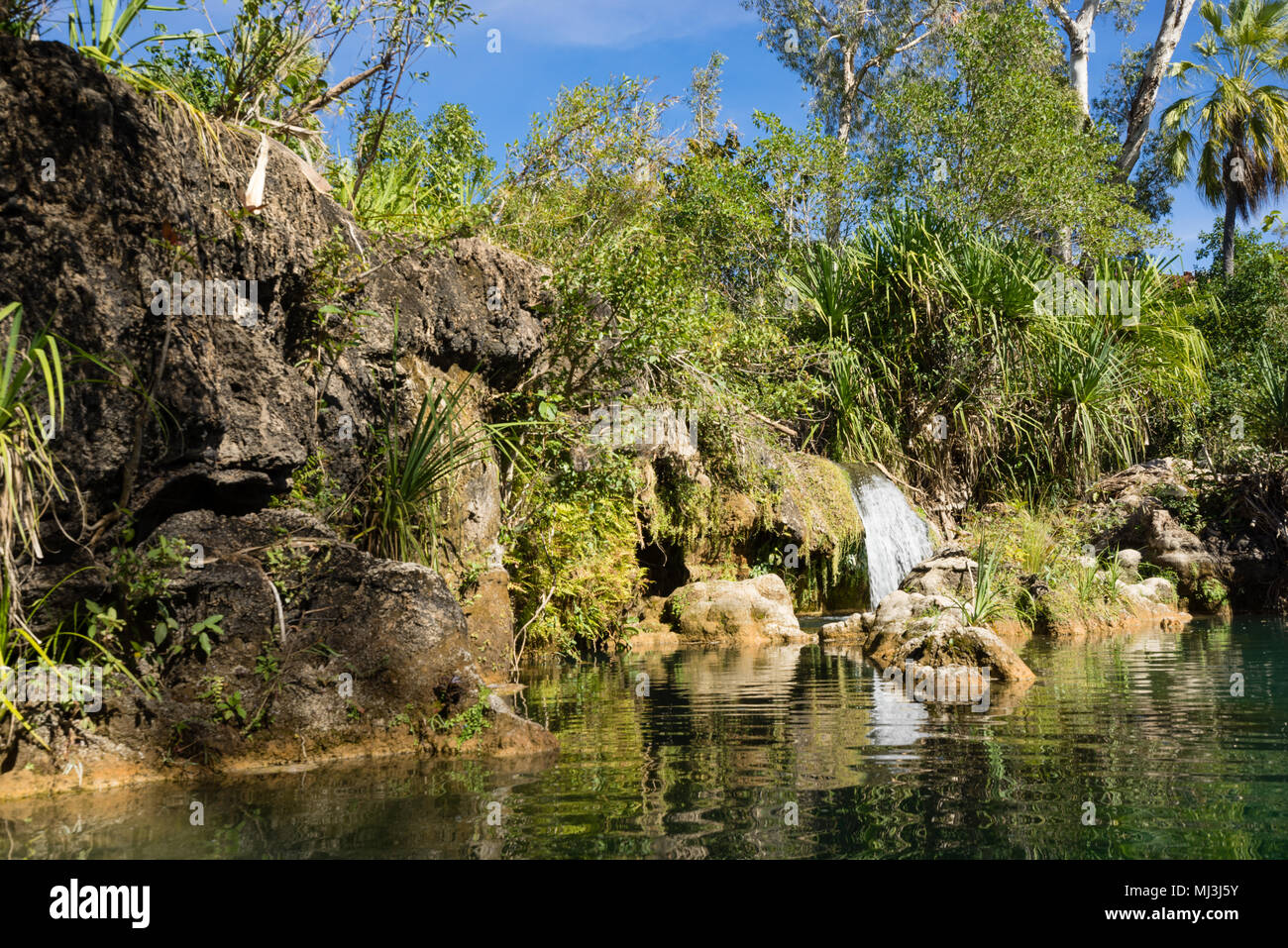 Lawn Hill, Queensland, Australia. Indarri Falls in Lawn Hill Gorge in Bodjamulla National Pa Stock Photo