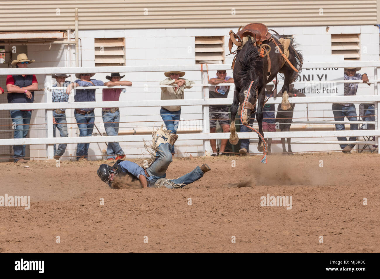 Normanton Queensland, Australia. Novice buck-jumping at the rodeo in Normanton on the Gulf of Carpenteria in outback far North Queensland. Stock Photo
