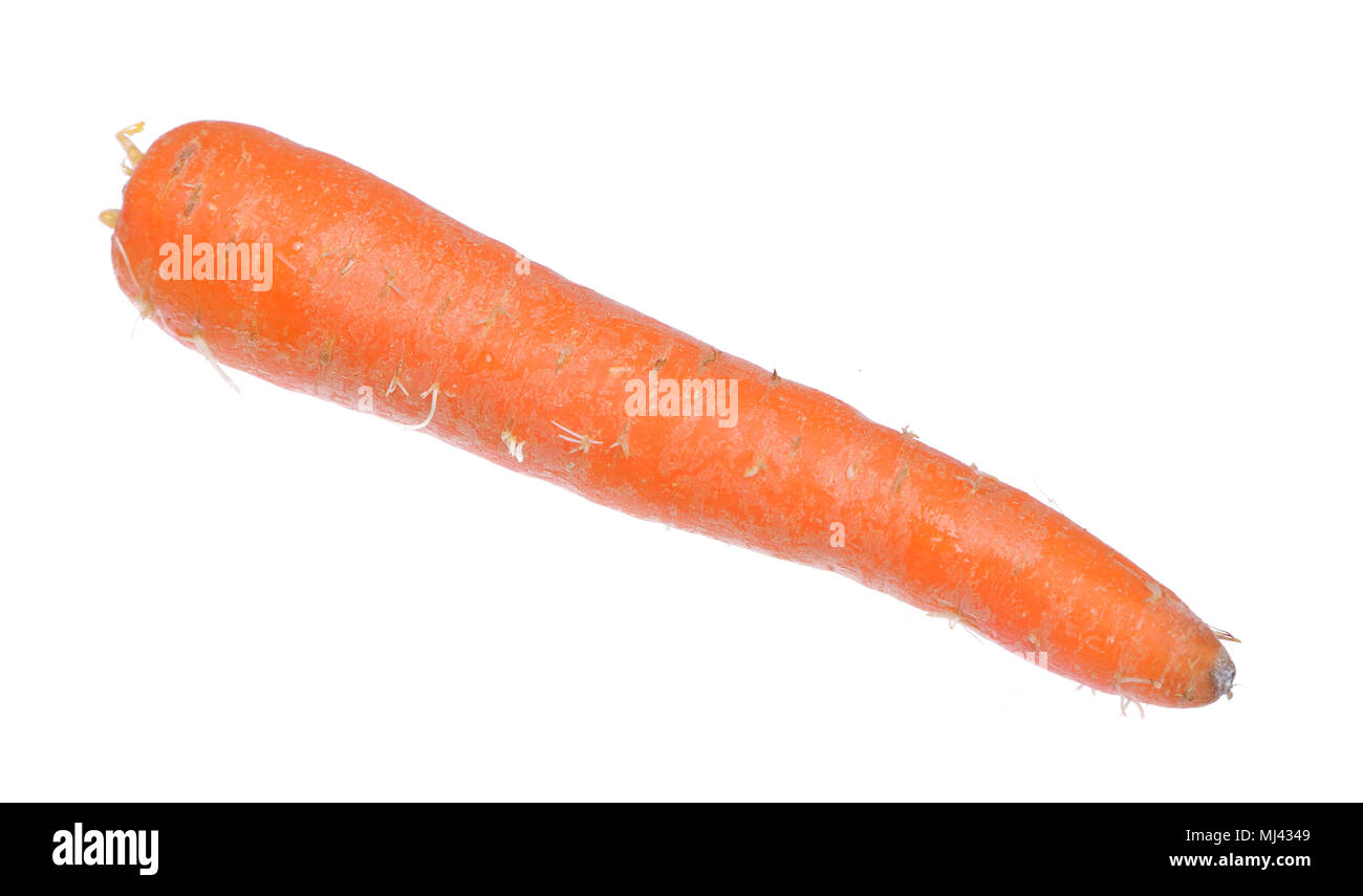 Carrot isolated on white background. Stock Photo