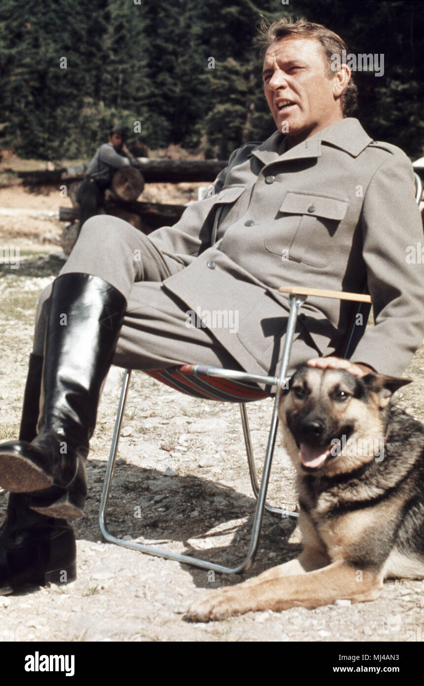 The British actor Richard Burton sits in his role as Josip Broz Tito in  uniform and boots on a folding chair and strokes a German sheepdog next to  him, taken in September