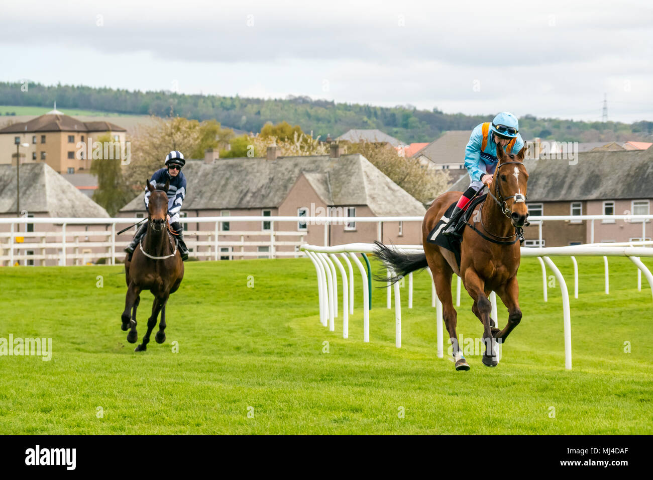 Racehorse creek hires stock photography and images Alamy
