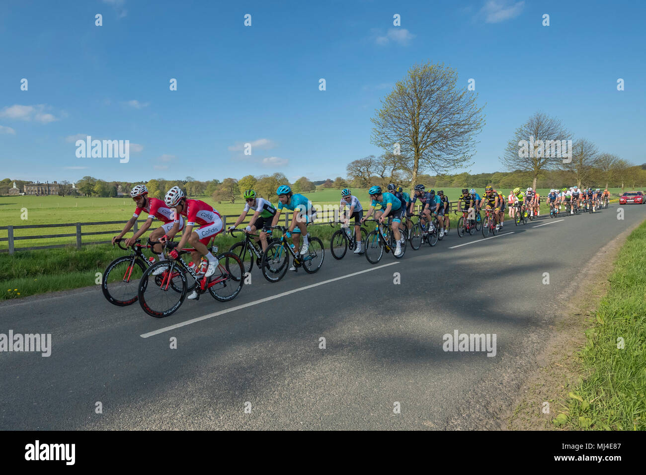 Denton, West Yorkshire, 4th May 2018. Under a blue sky, a large group of male cyclists in the pelaton, competing in the sunny Tour de Yorkshire 2018, are racing past Denton Hall, on a straight, flat, scenic, countryside lane near Ilkley, North Yorkshire, England, UK. Credit: Ian Lamond/Alamy Live News Stock Photo
