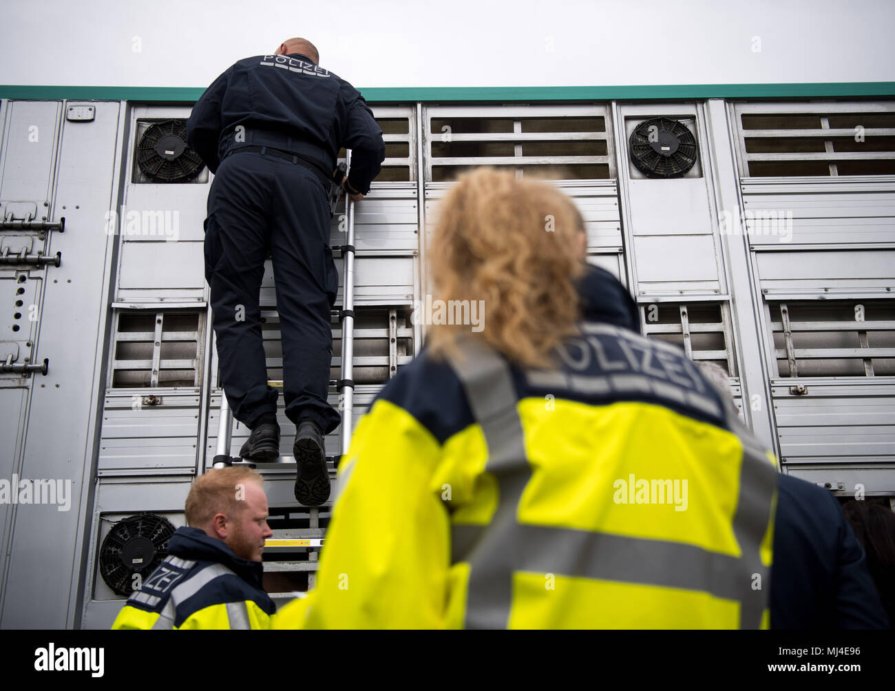 03 May 2018 Germany Walldorf Police Controlling An Animal Transporter During Checks On The A5 