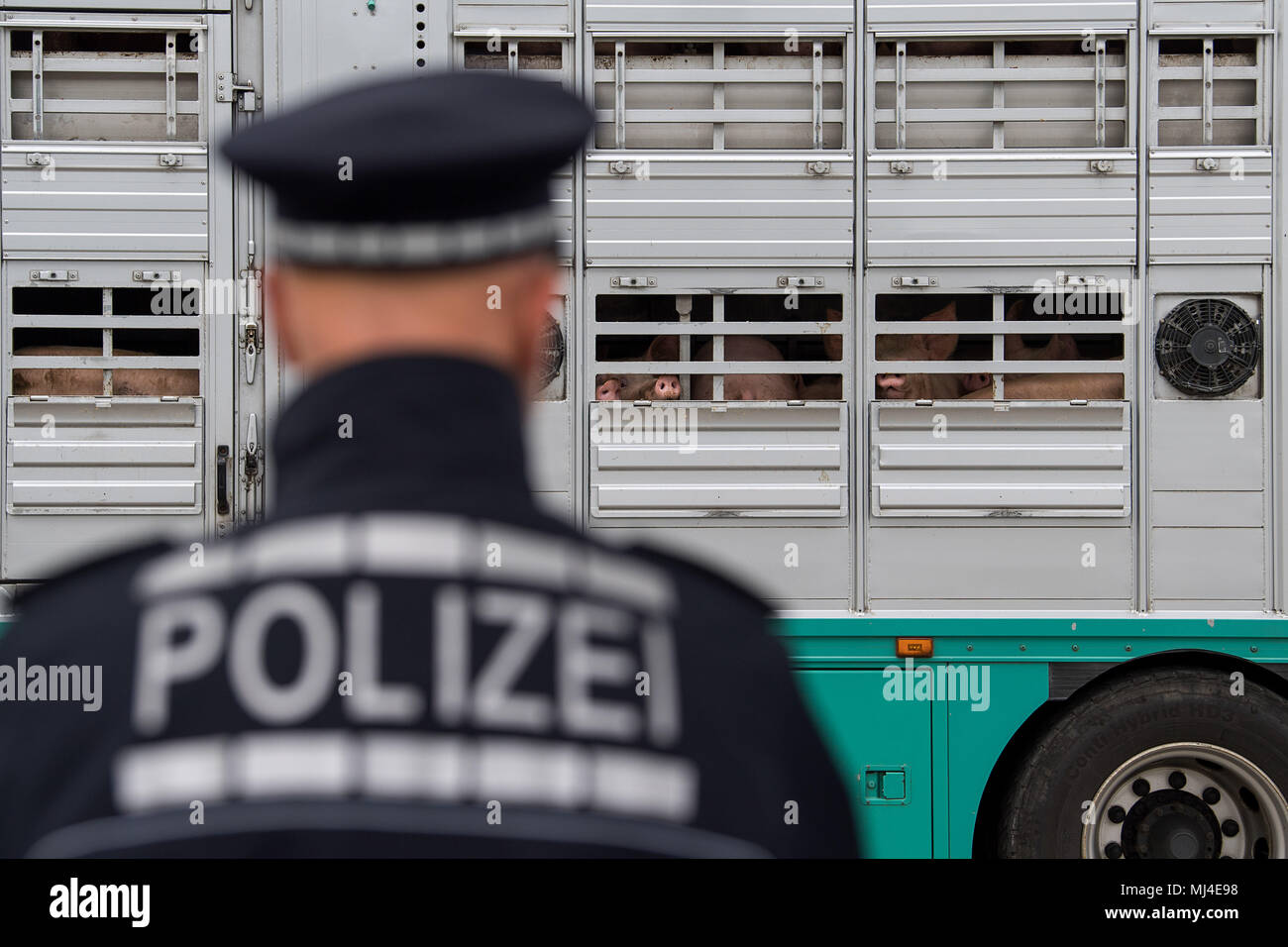 03 May 2018 Germany Walldorf Police Controlling An Animal Transporter During Checks On The A5 
