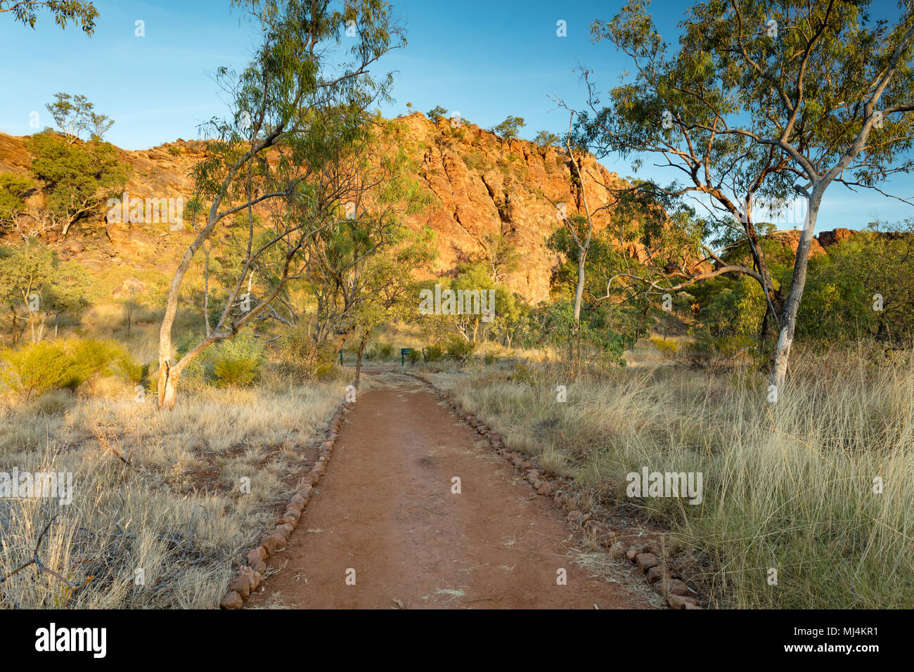 Lawn Hill, Queensland, Australia. Rich colours of the cliffs at sunrise on the track to Lawn Hill Gorge in Boodjamulla National Park in outback Far No Stock Photo