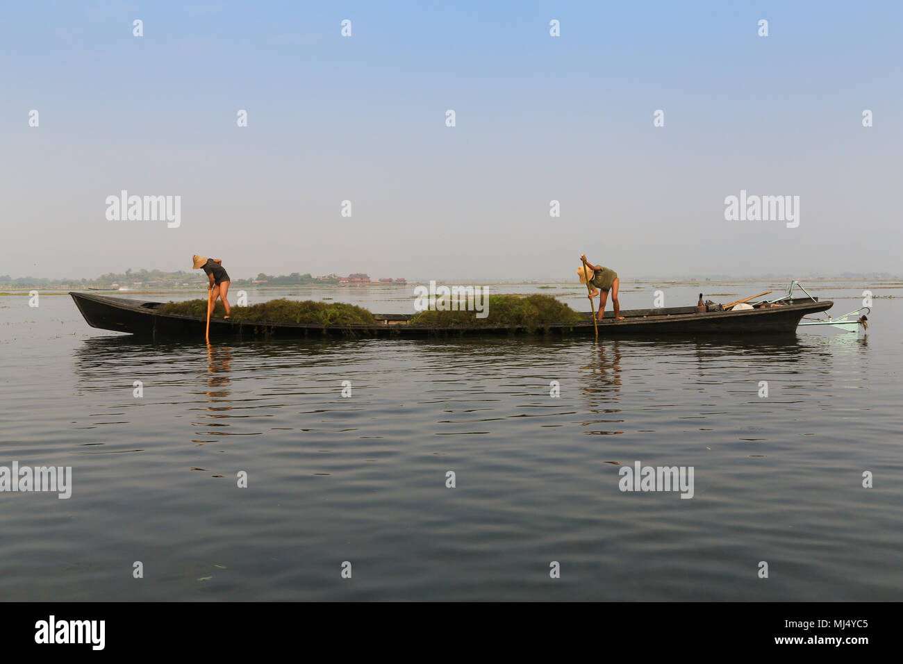 Aquatic farming hires stock photography and images Alamy