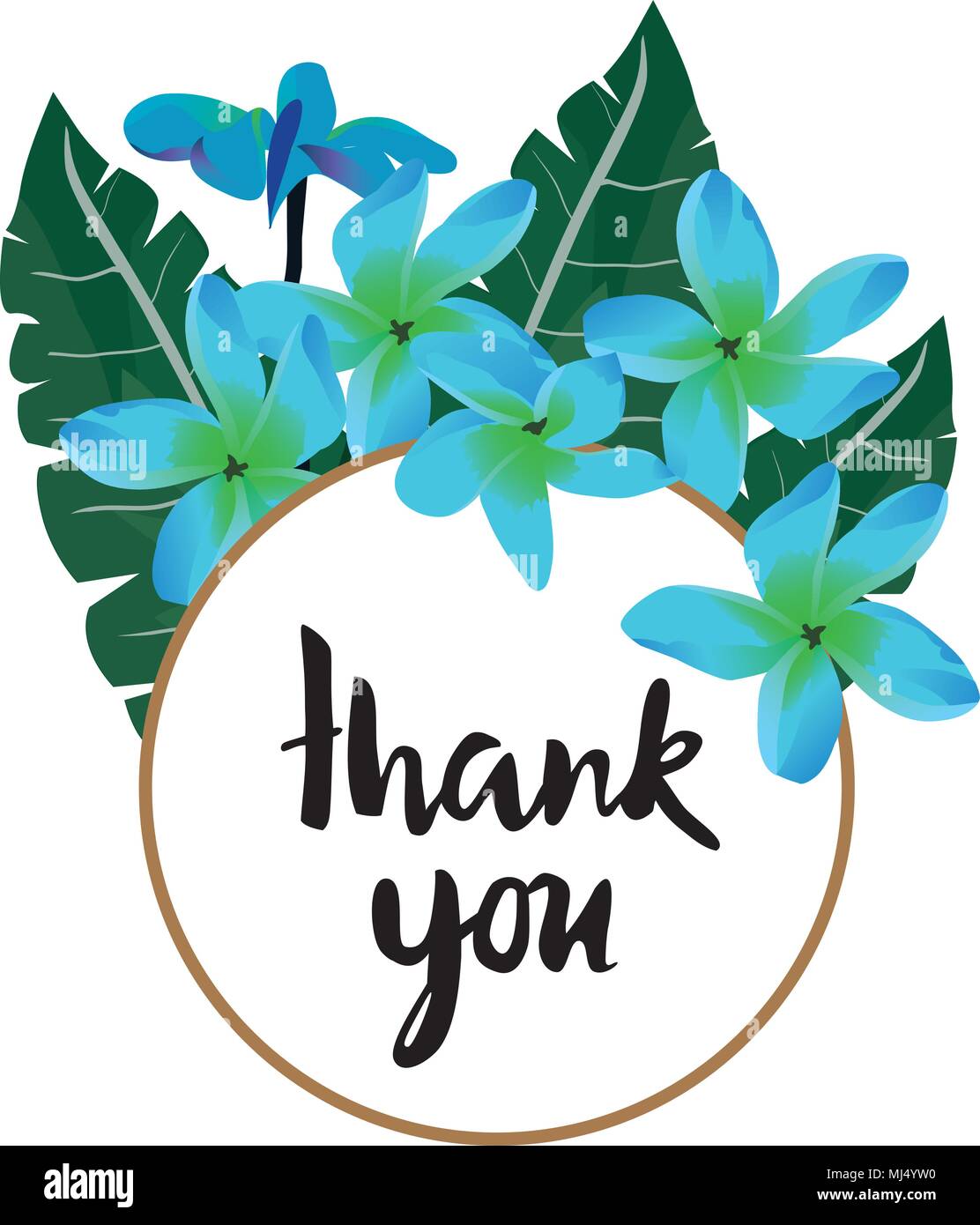 vector illustration of thank you card with tropical flowers Stock ...