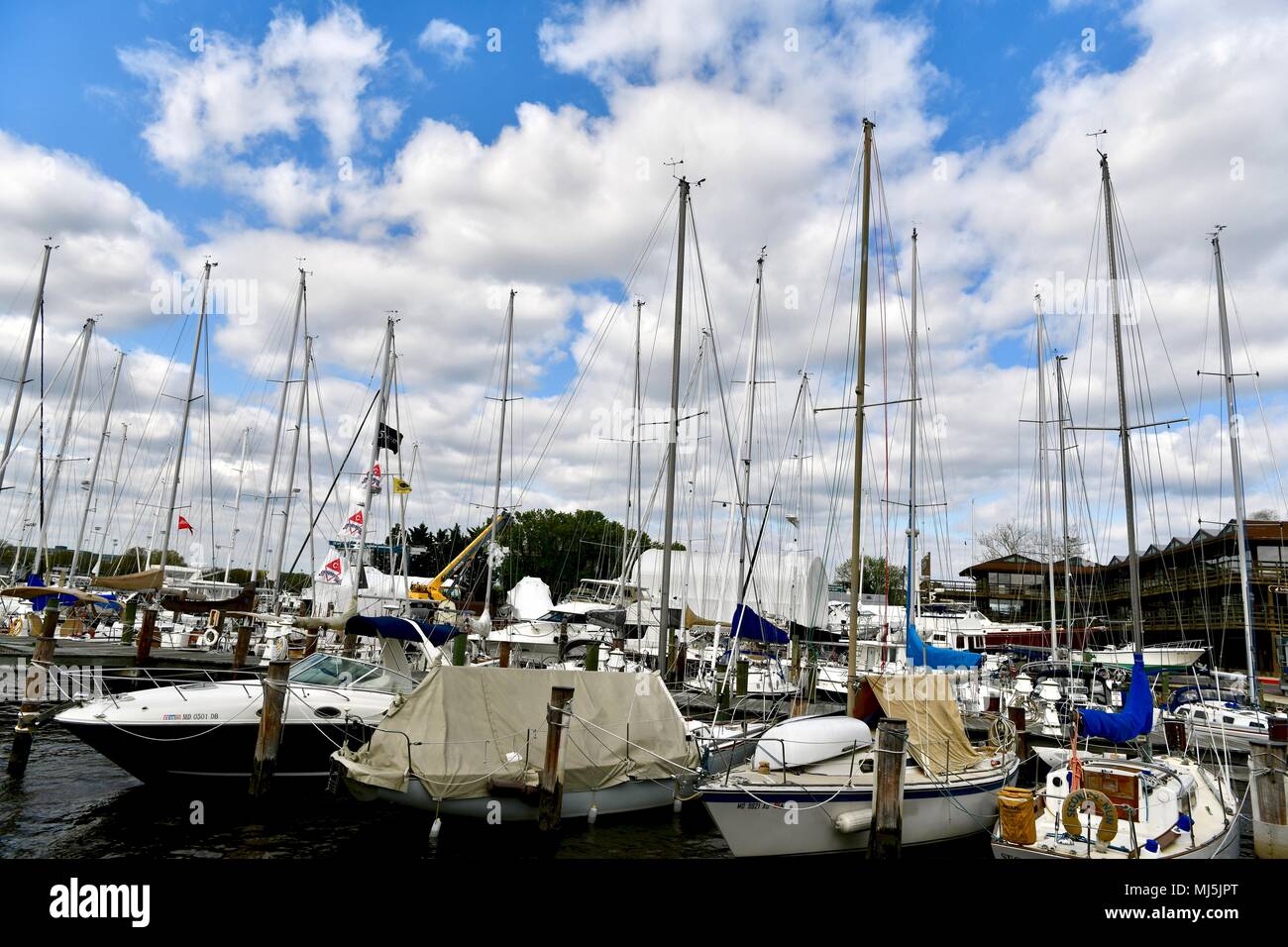 Sail boats docked in the Chesapeake bay on the Annapolis harbor, MD, USA Stock Photo
