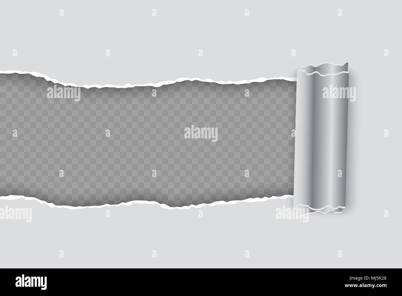 Vector realistic torn paper with rolled edge on transparent background Stock Vector