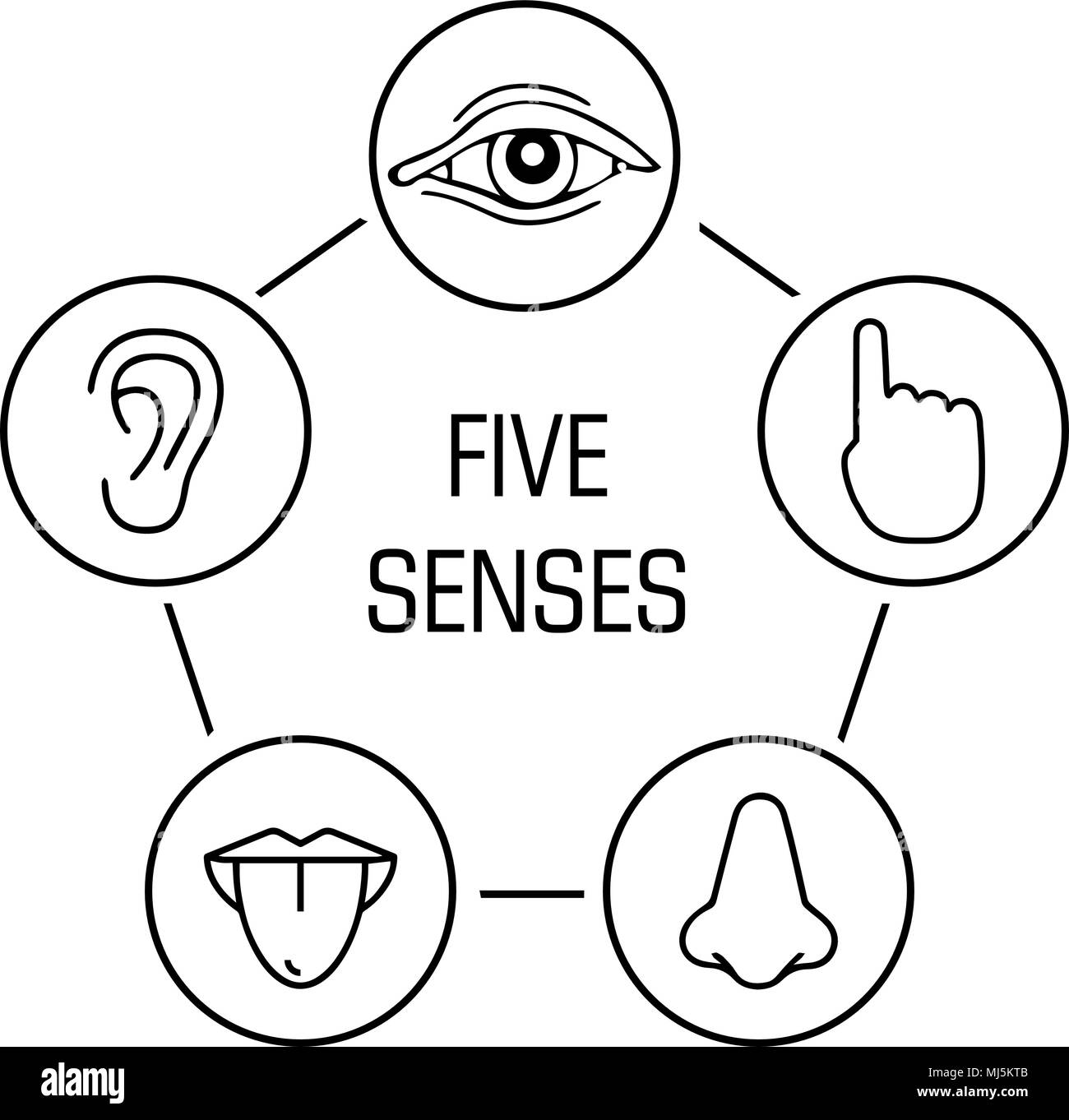 set of five human senses. Vision, hearing, touch, taste, smell icon ...
