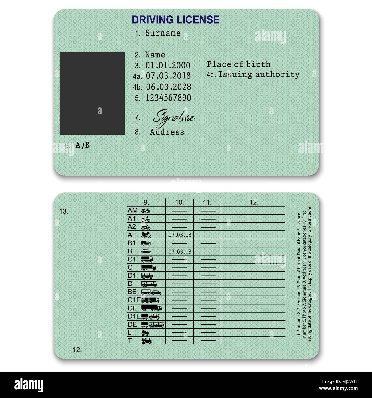 Vector template of sample driver license plastic card for USA