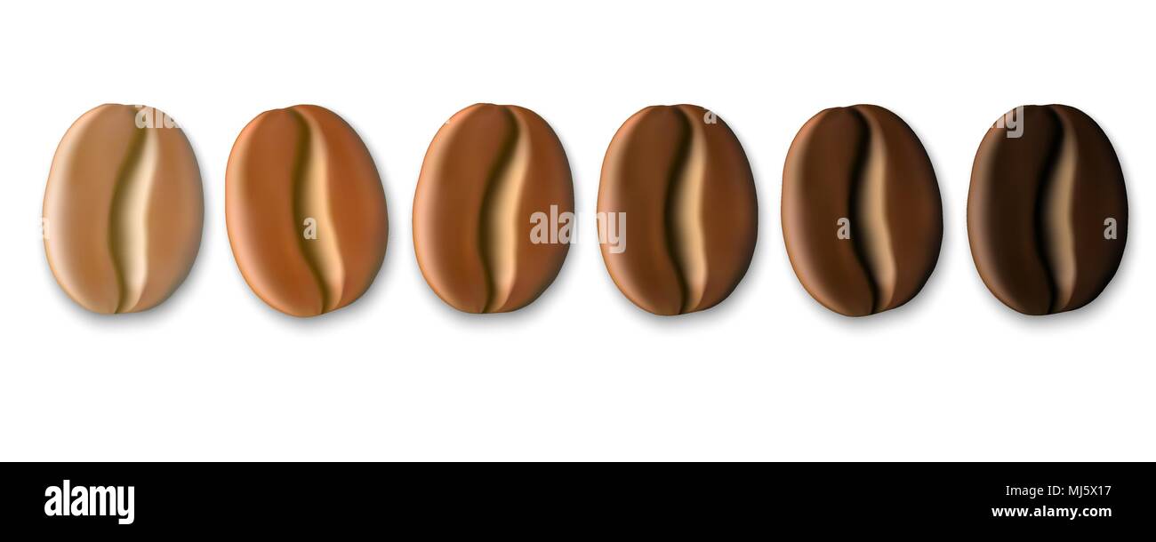 Various coffee beans Stock Vector Images Alamy