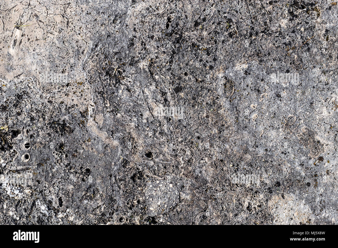 Sandstone texture for background, copy space Stock Photo
