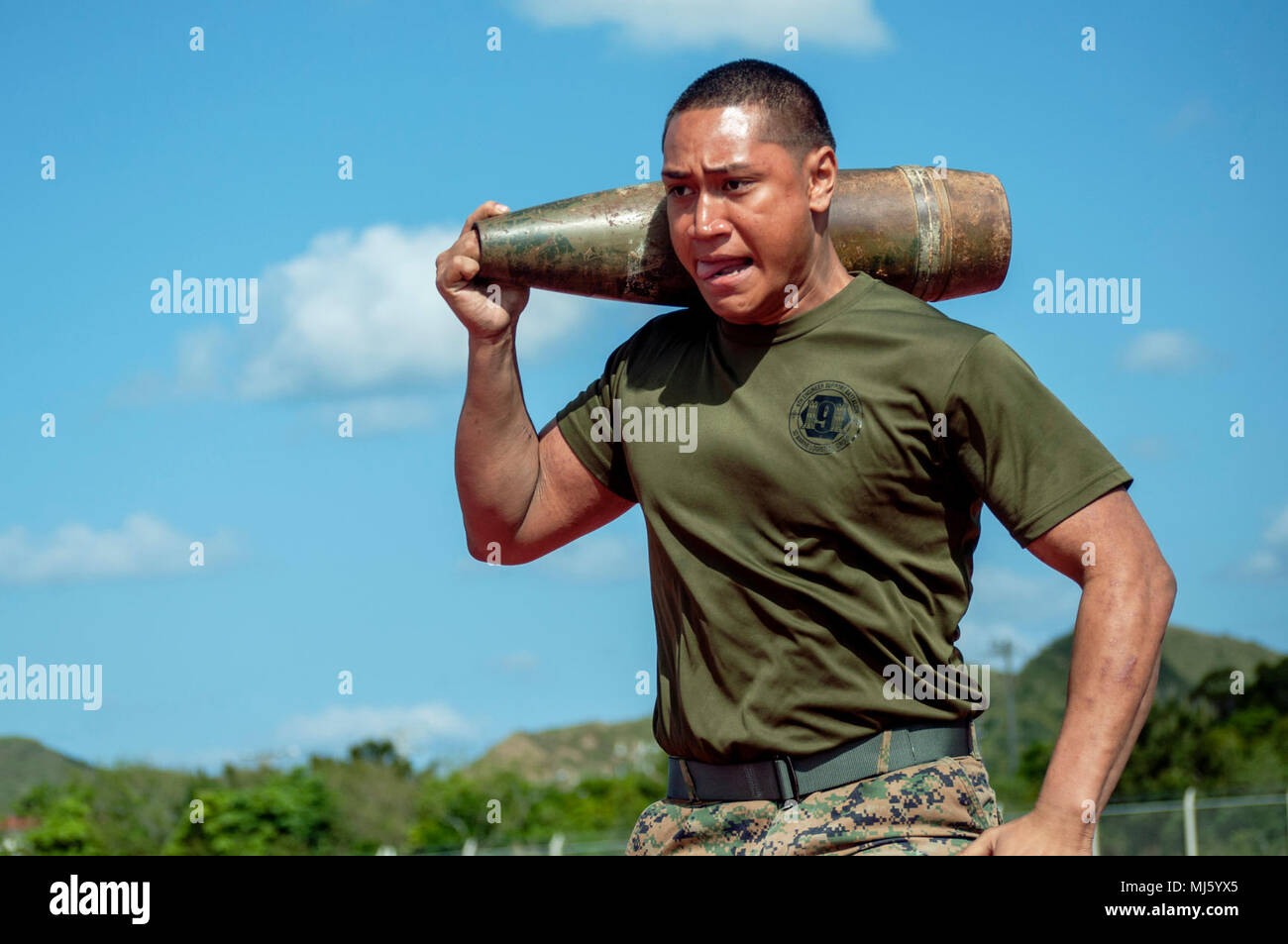 Army field support battalion hawaii hires stock photography and images