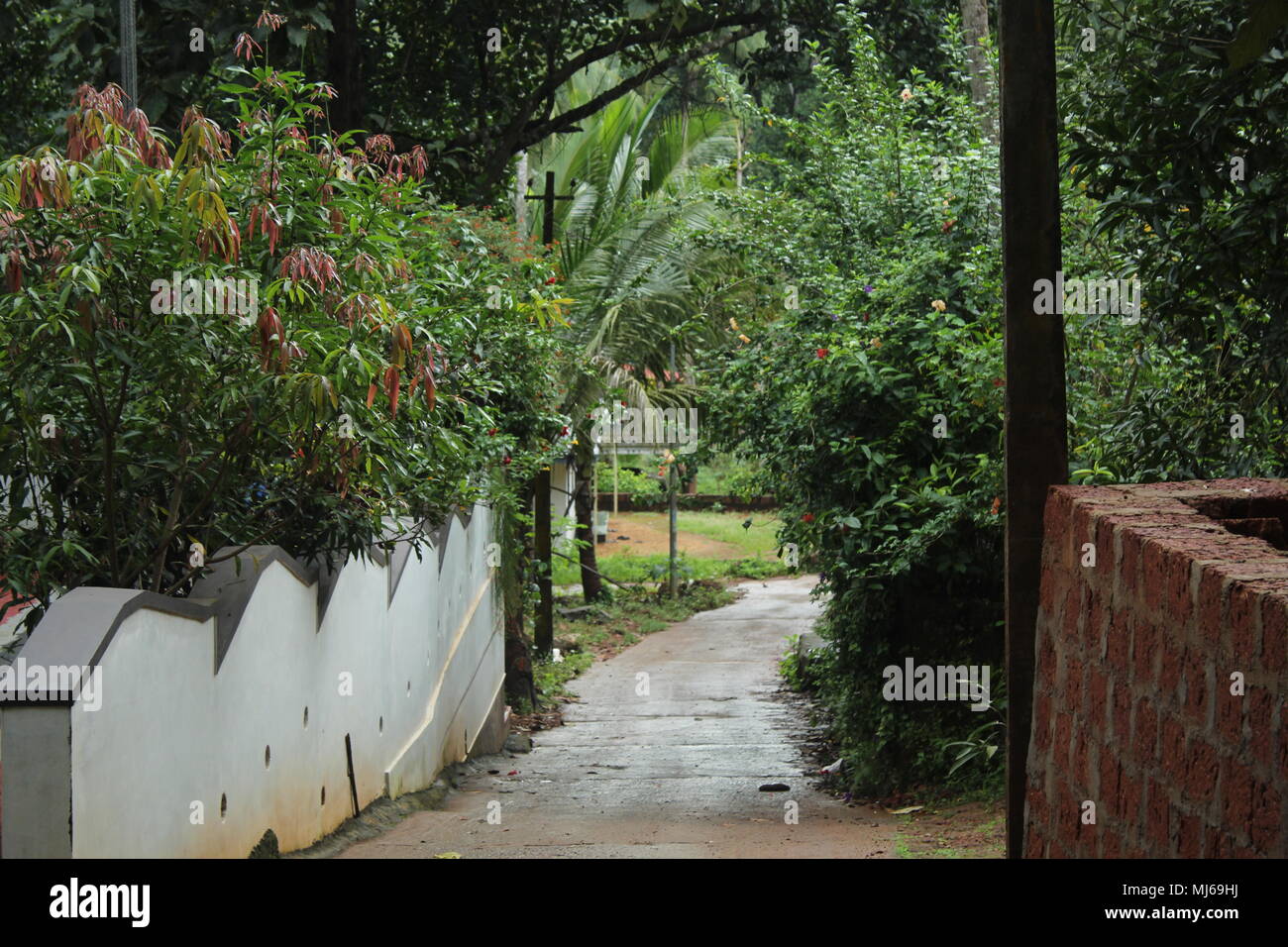 A simple view of a road in a village surrounded by trees that will calm ...