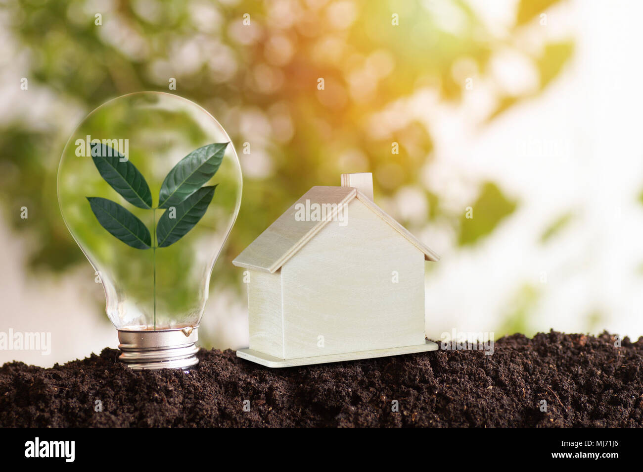 tree planting and growth up and wood house on soil, concept as reduce