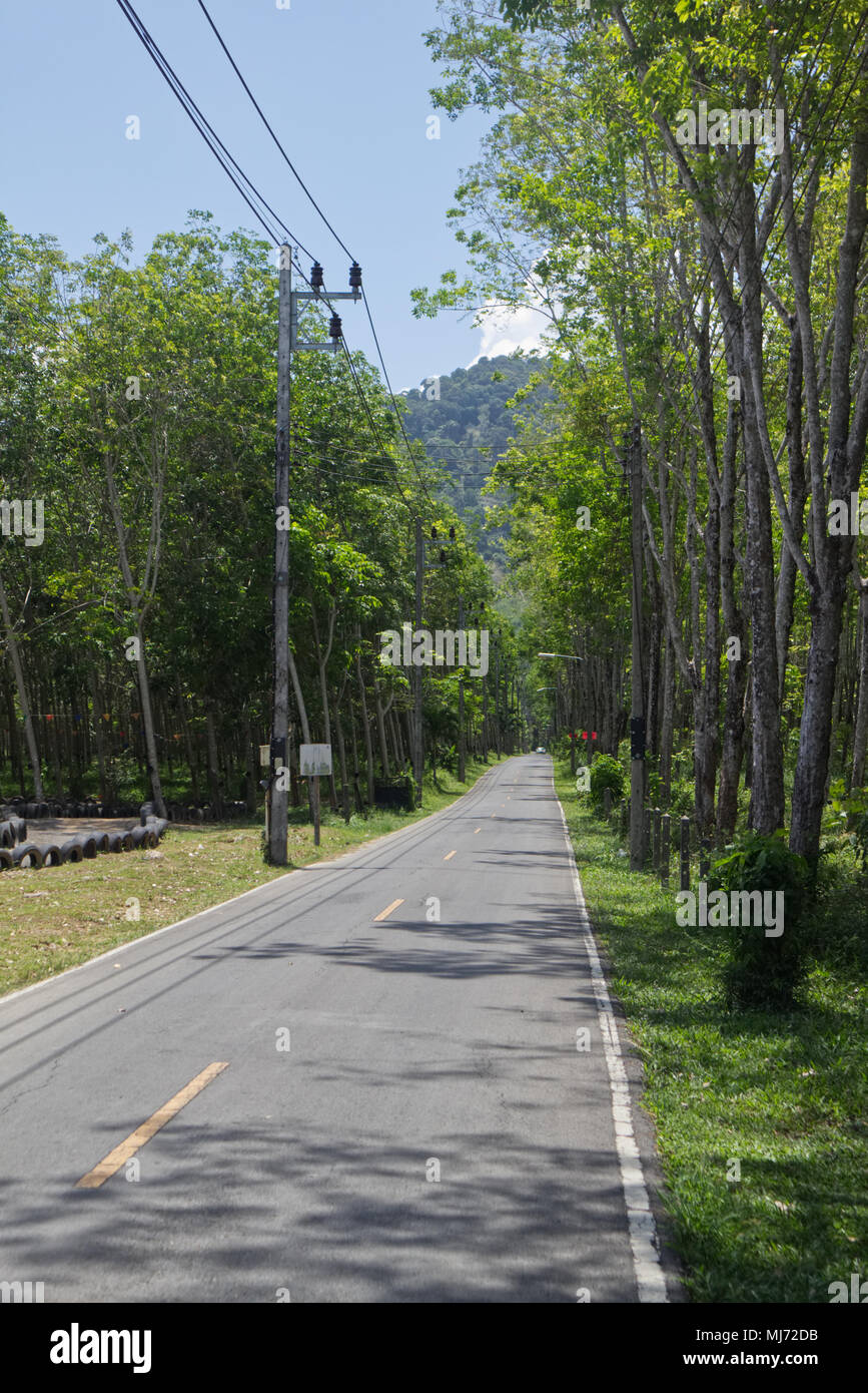 An empty and deserted road on the island of Phuket in Thailand. Stock Photo